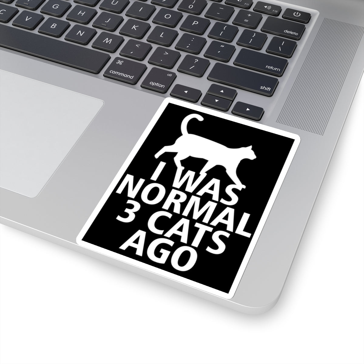 I Was Normal 3 Cats Ago! Stickers