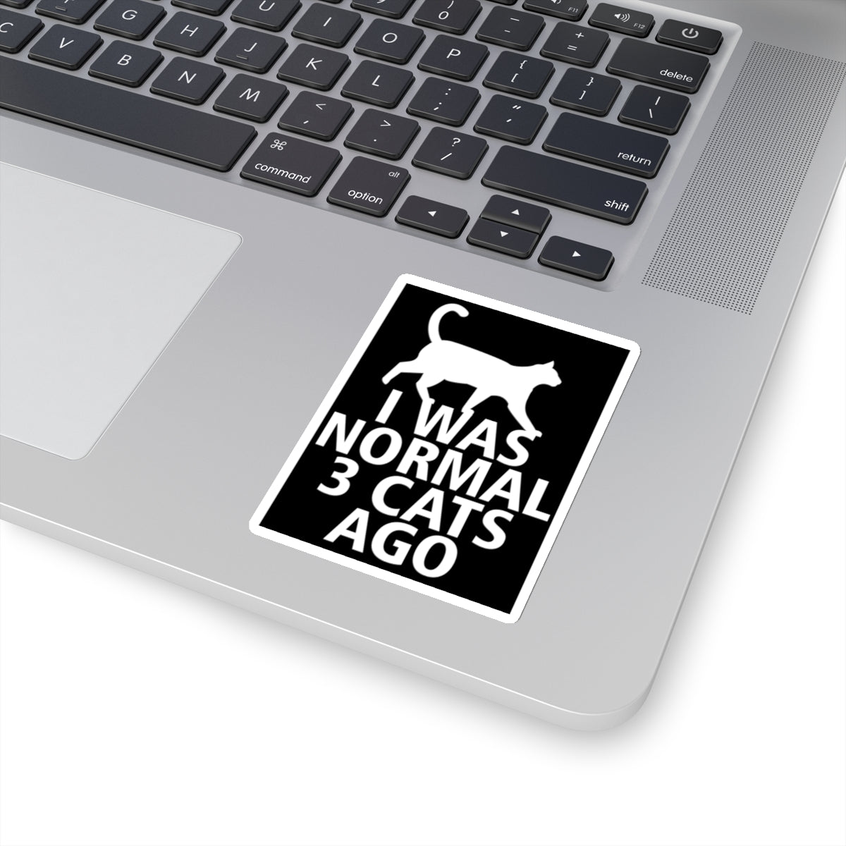 I Was Normal 3 Cats Ago! Stickers